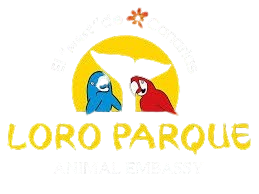 20_Loro_parque-removebg-preview